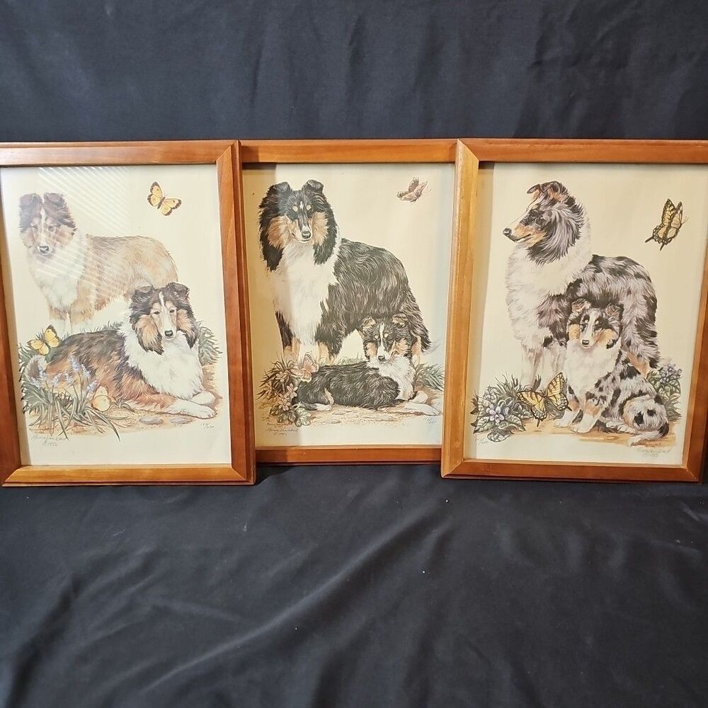 Marcia Van Woert Signed Collie Print Set Of 3 Numbered 142/200